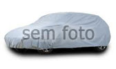 Bugre Buggy